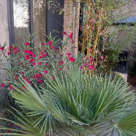 Le Clos Du Rouet * Tarascon